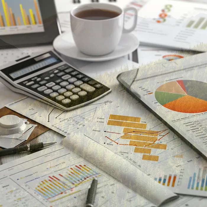 채무자대리인제도