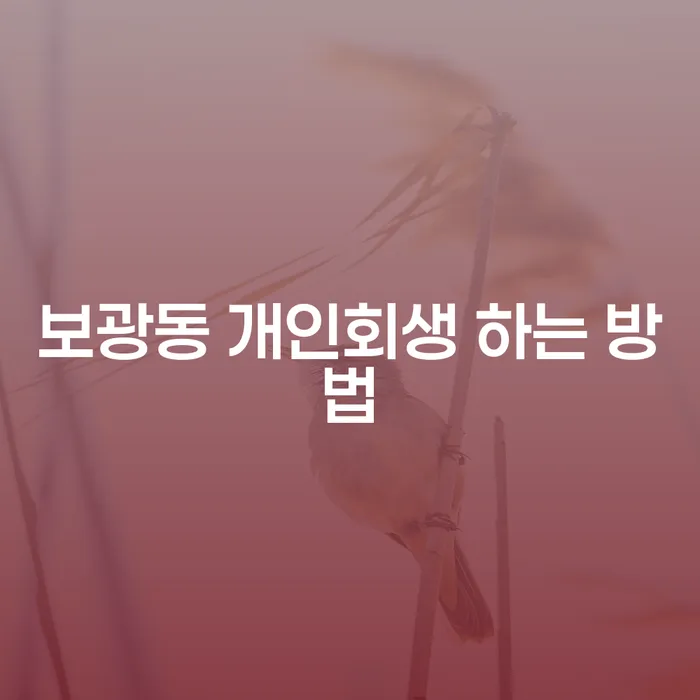 보광동 개인회생: 어떻게 하면 효과적으로 시작할 수 있을까요?