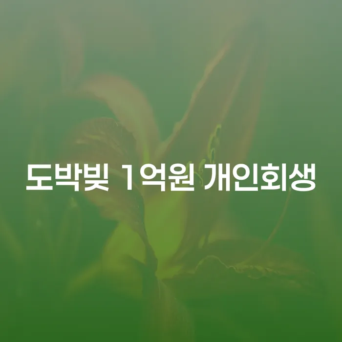 도박빚 1억원, 개인회생으로 해결할 수 있나요?